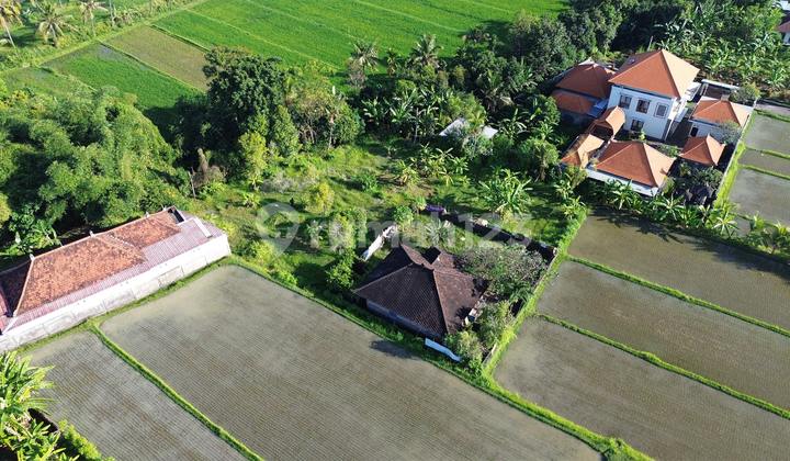 Land with Rice Field View Bonus Building in Sukasada, Singaraja.
