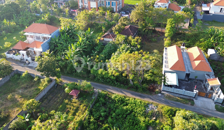 For Sale: Land Plot in LC Baktiseraga Buleleng Area For Sale: Land Plot in LC Baktiseraga Buleleng Area