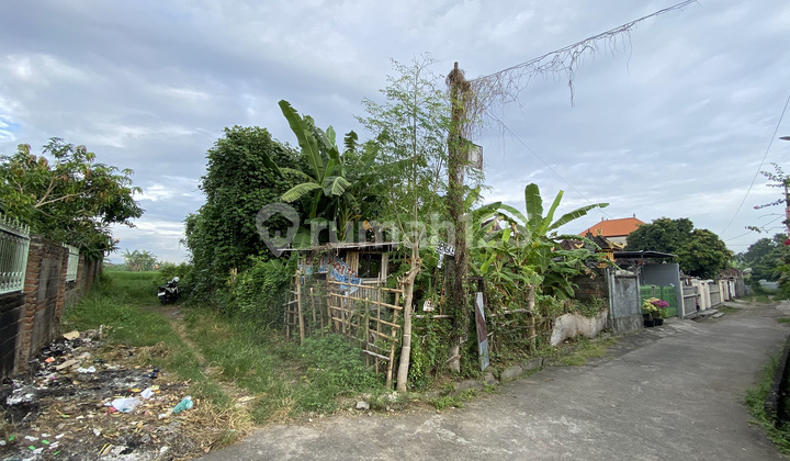 Tanah Kavling Dekat Jalan Utama Penarukan Buleleng 1