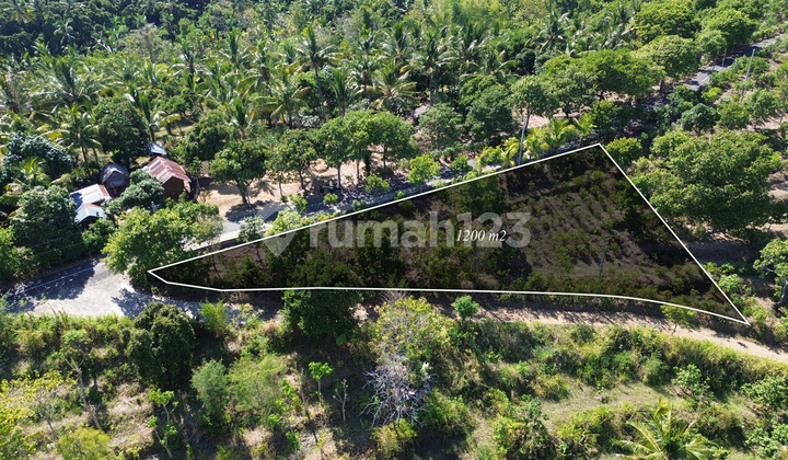 Dijual Tanah View Laut di Kubutambahan Buleleng