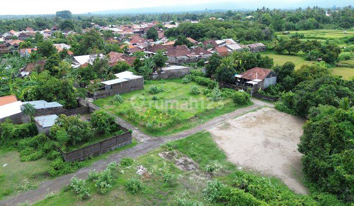 Dijual Tanah Kavling Desa Sinabun Singaraja 2