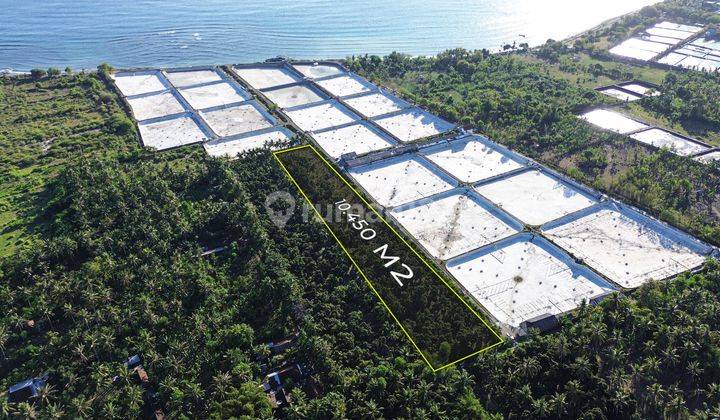 Dijual Tanah Kebun Dekat Pantai Gerokgak Buleleng 2