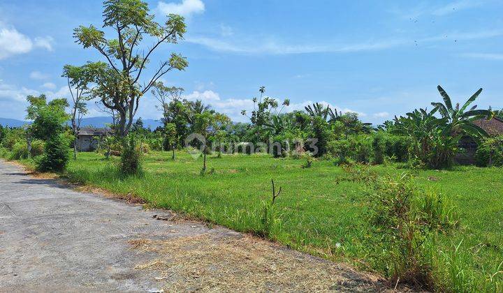 Plot of land for sale near Buleleng Beach 2