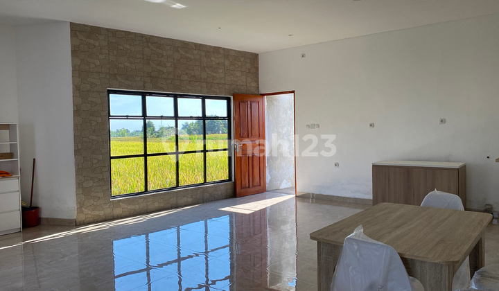 For Sale Ready-to-Occupy House with Rice Field View Near Singaraja Beach
