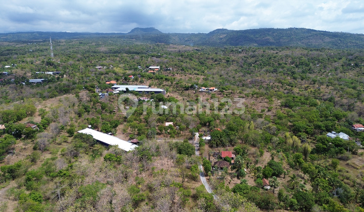 Land for Rent with Sea View in Kubutambahan