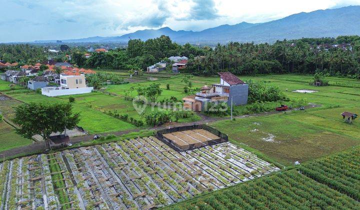 Dijual Tanah Kavling Dekat Pantai Area Anturan Singaraja 1