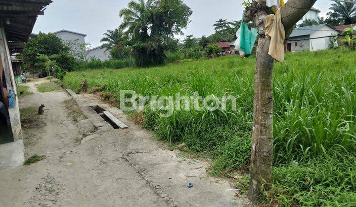 TANAH JALAN UTAMA , DAGANG KELAMBIR DELI SERDANG 2