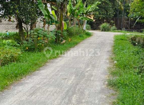 Tractor Land, Tandam, North Binjai