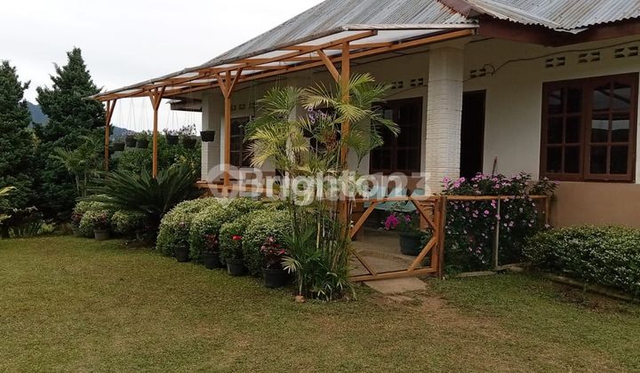 LAND 19HA NAGARA BRAND KARO LAND 19HA NAGARA BRAND KARO