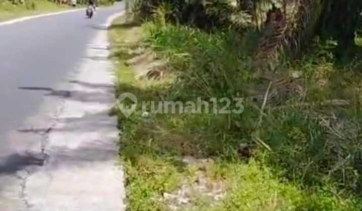 Tanah Lintas Batu Bara Kwala Tanjung , Sei Suka Sumatera Utara Tanah Lintas Batu Bara Kwala Tanjung , Sei Suka Sumatera Utara