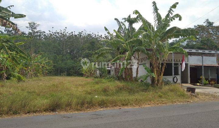 Disewakan Tanah Cocok Untuk Pabrik Gudang di Jalan Raya Boja 1