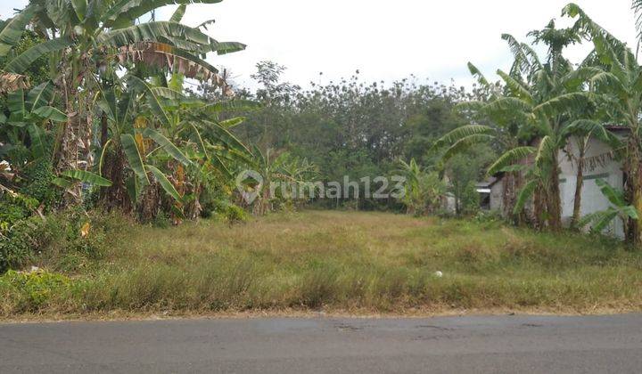 Disewakan Tanah Cocok Untuk Pabrik Gudang di Jalan Raya Boja 2