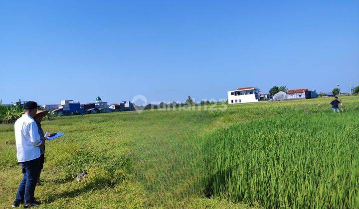Kavling 8 Unit dekat Swalayan dan Stadion di Mangunjiwan, Demak 1