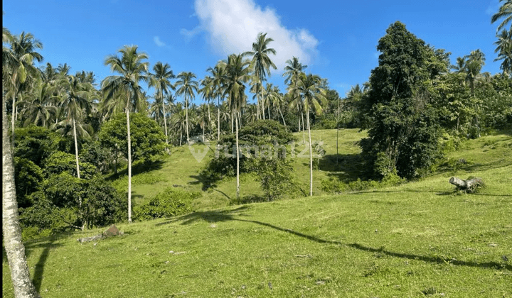 Tanah Dengan View Laut Cocok Untuk Resort di Tabanan, Bali 1