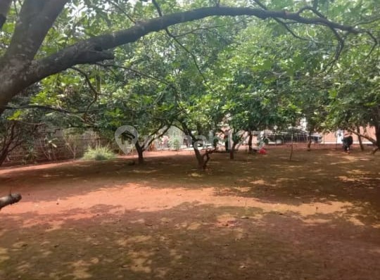 Dijual Tanah Jati Murni Bekasi 5