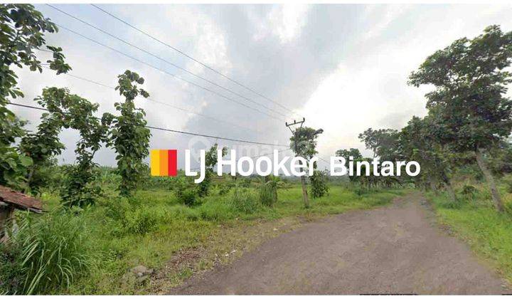 Dijual Tanah Cocok Untuk Perumahan di Cianjur Jawa Barat 1