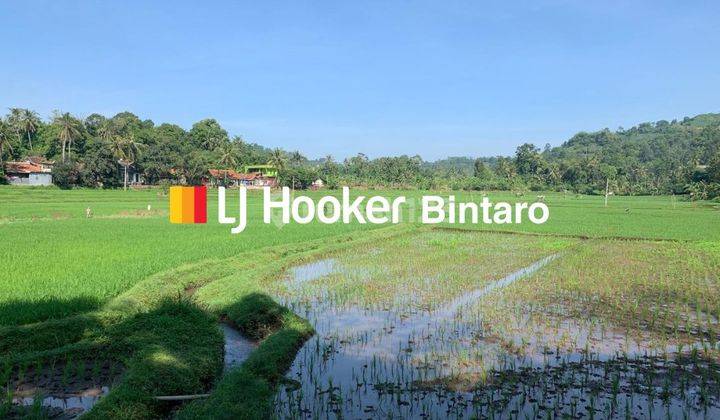 Dijual Tanah di Cibinong Hilir Cianjur Jawa Barat 2