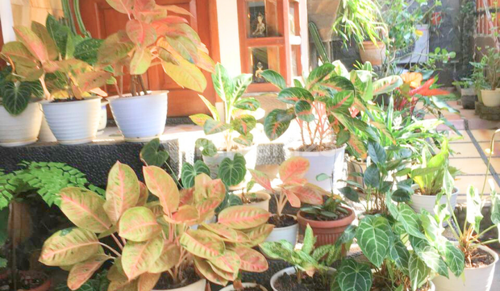 Dijual Rumah Asri di Taman Siliwangi Depok – Siap Huni, Lokasi Strategis 2