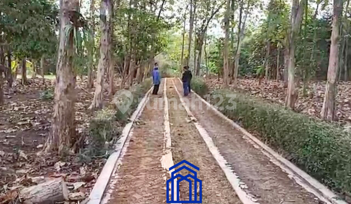 Dijual Tanah Luas di Cibeuteung Muara, Ciseeng Bogor