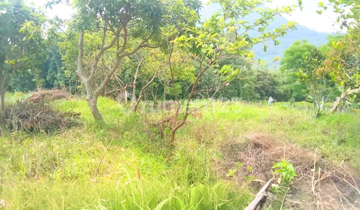 Dijual Tanah di view pegunungan di Tolokan semarang jawa tengah 1