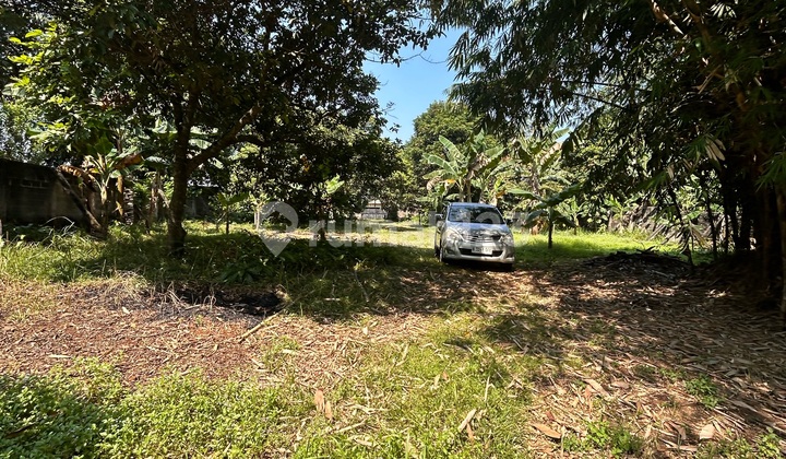 For Rent: Dilebak Wangi Parung Bogor Plot