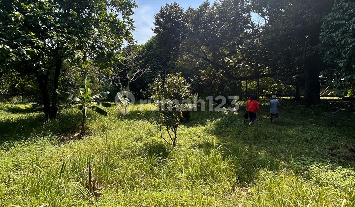 For Rent: Dilebak Wangi Parung Bogor Plot