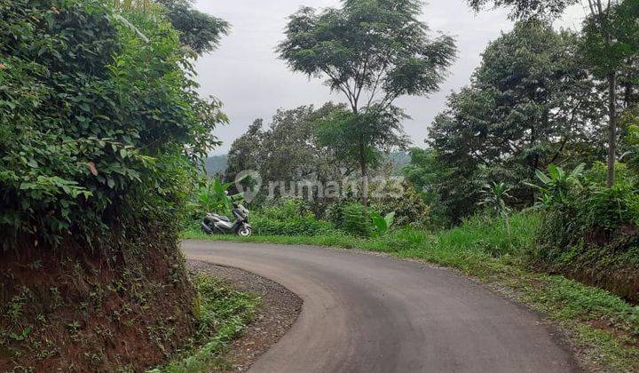 Dijual Tanah Luas 2 Hektare Di Jalan Cagak Subang 3