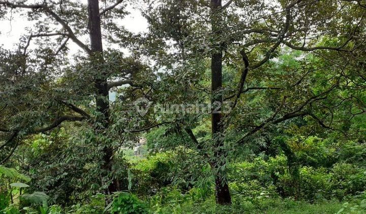 Dijual Tanah Luas 2 Hektare Di Jalan Cagak Subang 4