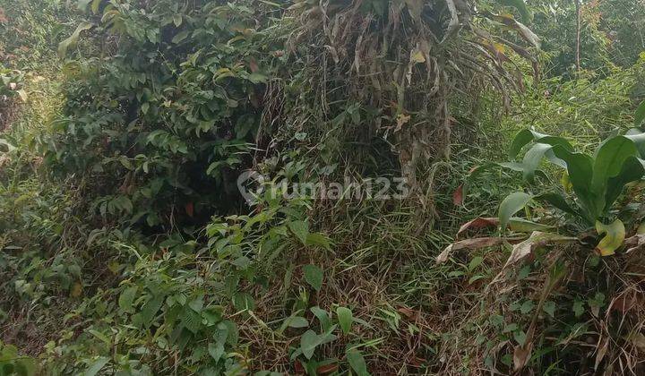 Dijual Tanah 1,6 Hektare Di Cijambe Subang Akses Jalan Besar 1