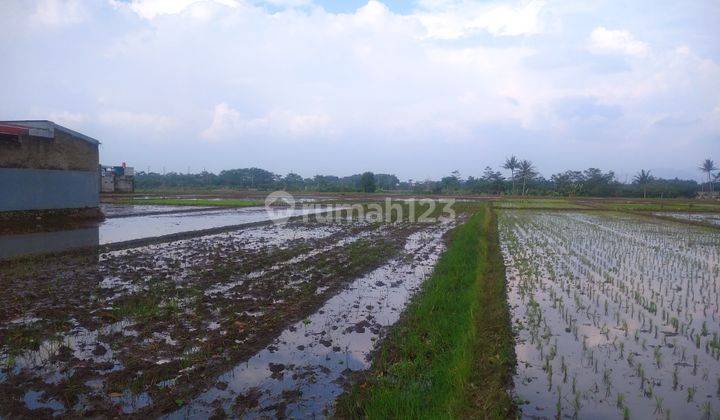 Dijual Tanah Luas Cocok Untuk Usaha Dekat Stadion Jalak Harupat  3
