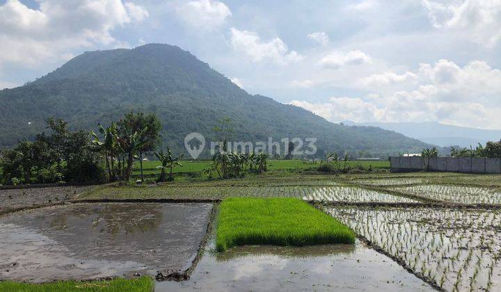Dijual Tanah Akses Jalan Mobil Lokasi Asri Di Kadungora Garut 1
