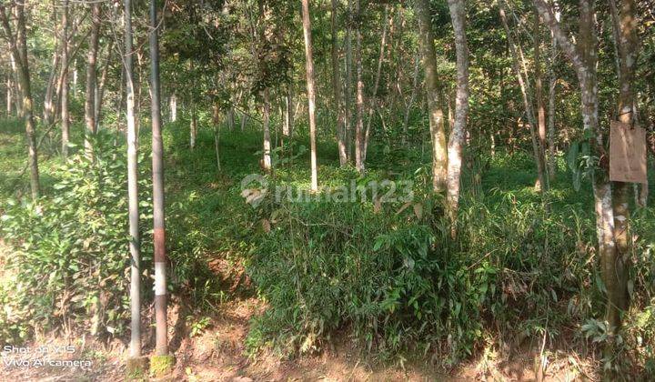 Dijual Tanah Di Subang Lokasi Dan Akses Bagus  3