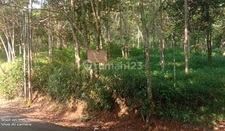 Dijual Tanah Di Subang Lokasi Dan Akses Bagus  2