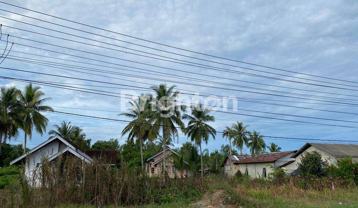 TANAH DAN 3 UNIT BANGUNAN RUMAH DIPINGGIR JALAN RAYA 2