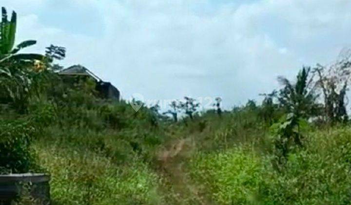 Dijual Murah Lahan Sangat Strategis Buat Perumahan Di Joyo Agung,malang  3