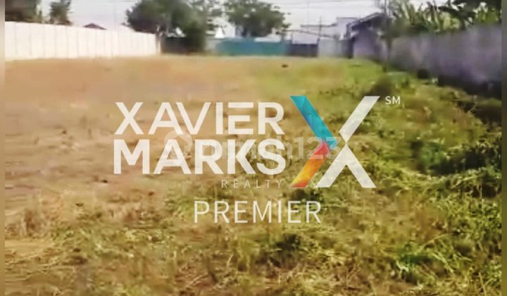 Dijual Tanah Luas Di Jalan Raya Pacing,kec.bangsal,kab.mojokerto 4