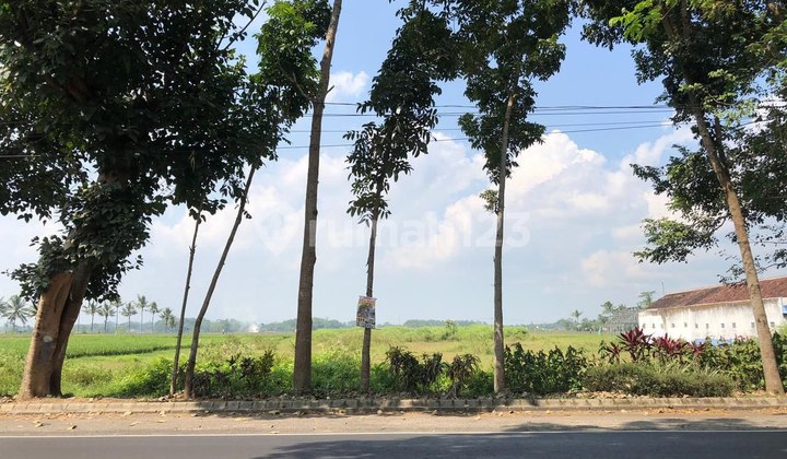 Dijual Tanah Strategis Di Pakisaji Jalan Poros Malang Kepanjen 3