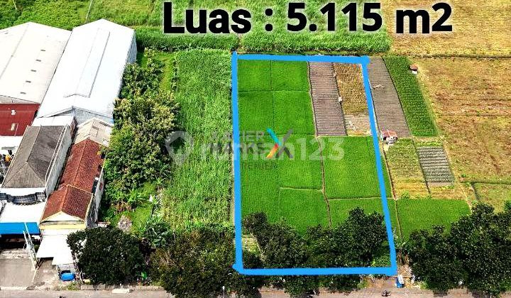 Dijual Murah Tanah Luas Di Poros Jl Raya Mondoroko, Singosari Mlg