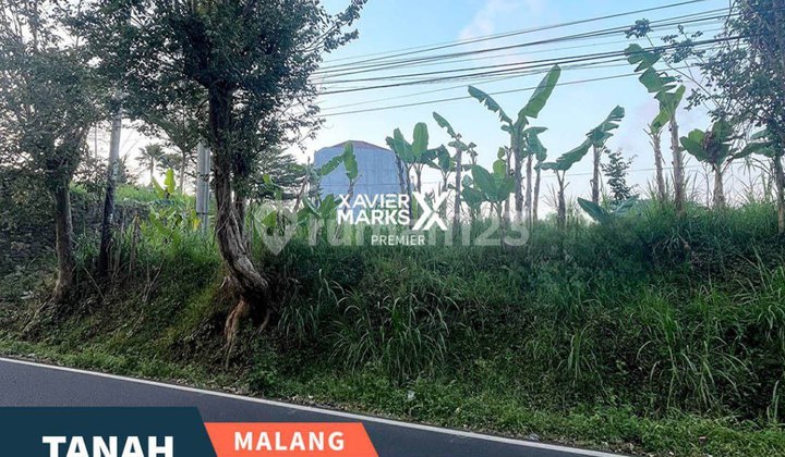 Dijual Tanah Prospektif Strategis Dekat Dngn Kampus Ub Dieng Mlg Dijual Tanah Prospektif Strategis Dekat Dngn Kampus Ub Dieng Mlg