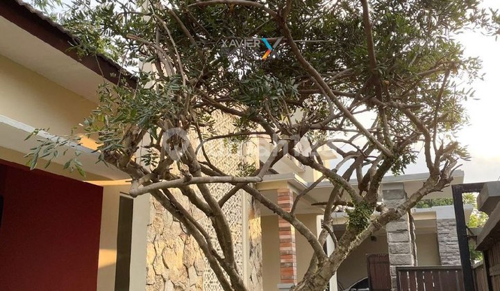 Dijual Murah Rumah Luas Nyaman Semi Furnish Di Tidar, Malang Dijual Murah Rumah Luas Nyaman Semi Furnish Di Tidar, Malang