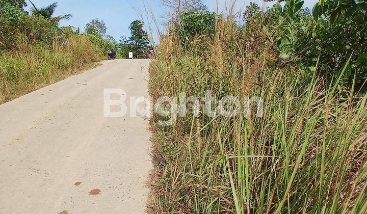 TANAH CANTIK POSISI HOK TEPI JALAN POROS PULAU BALANG  COCOK UNTUK GUDANG ,KANTOR, WORKSHOP 2