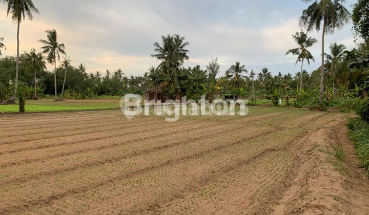 Land for sale 23000 meters near the IKN area.