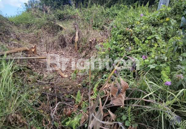 TANAH STRATEGIS DAERAH KAWASAN INDUSTRI PULAU BALANG DI BALIKPAPAN  BARAT