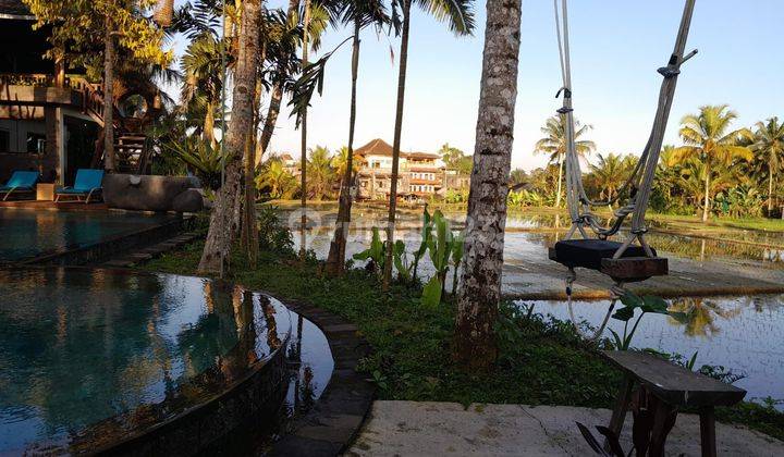 Villa Pujung Kaja Ubud Gianyar Aktif JUAL LELANG 1