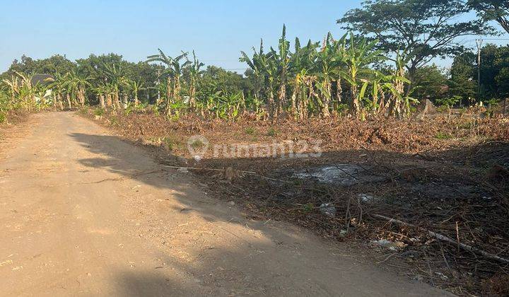Tanah 14800 m2 di Karangampel, Indramayu SHM 2