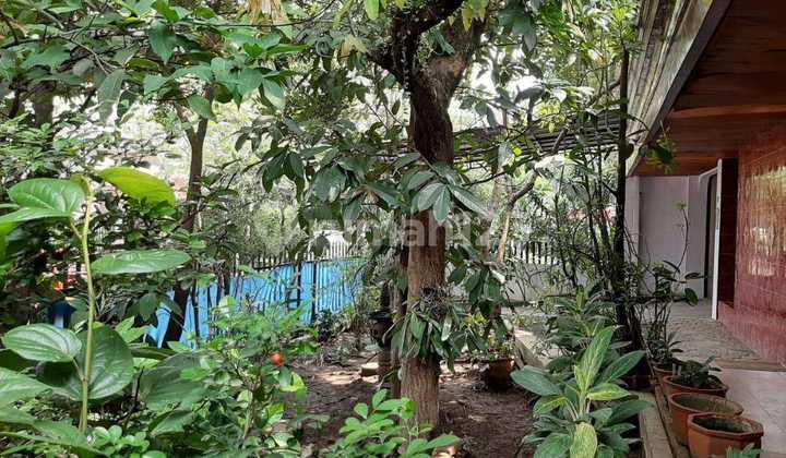 Turun Drastis Pusat Kota Lengkong Alun-alun Asia Afrika Cikawao Burangrang Murah Banget Bandung