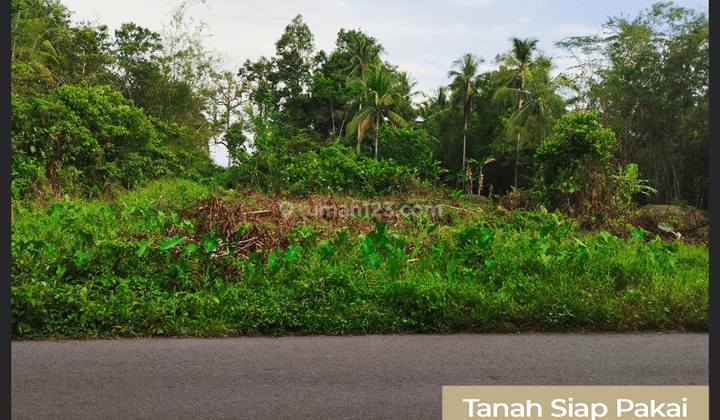 Tanah Siap Pakai di Kumpai Besar 1