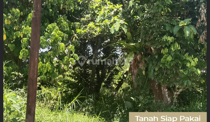 Tanah Siap Pakai di Jalan Desa Durian 1