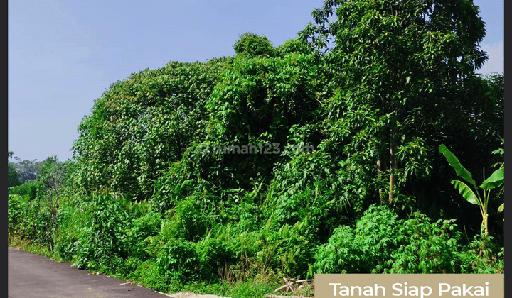 Tanah Siap Pakai di Jalan Reformasi 1