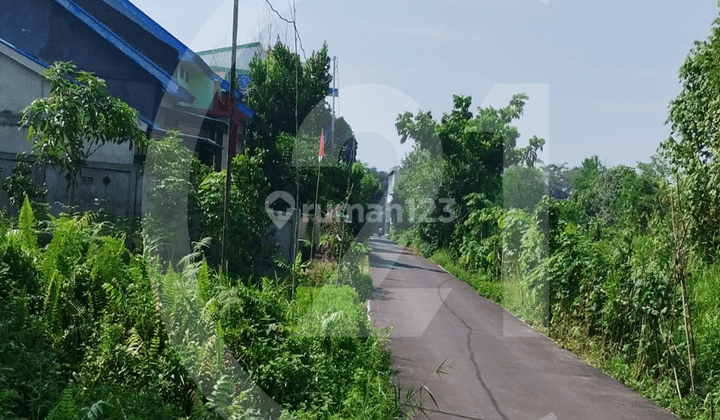 Tanah Siap Pakai di Jalan Reformasi 2